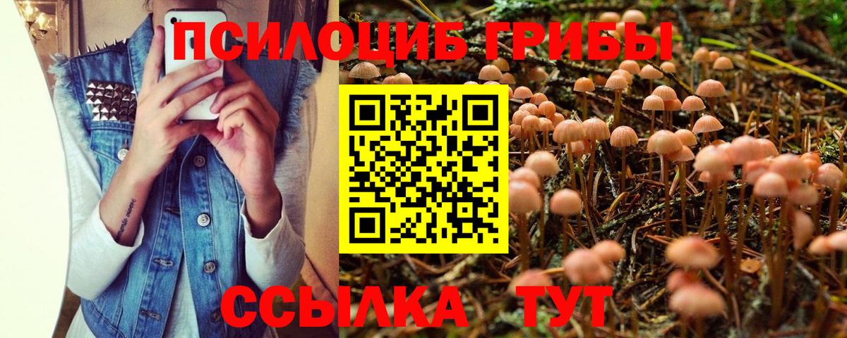 Галлюциногенные грибы прущие грибы  Галлюциногенные грибы ЛСД  Вход с VPN  Зеленодольск 